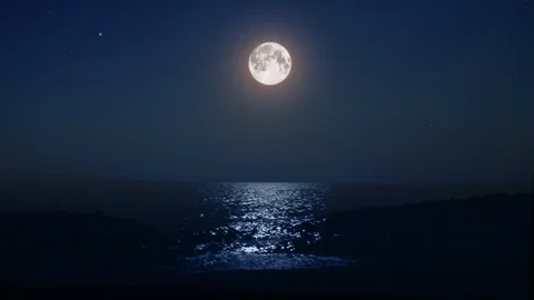 <span>爱液视频网</span> · 关于我们