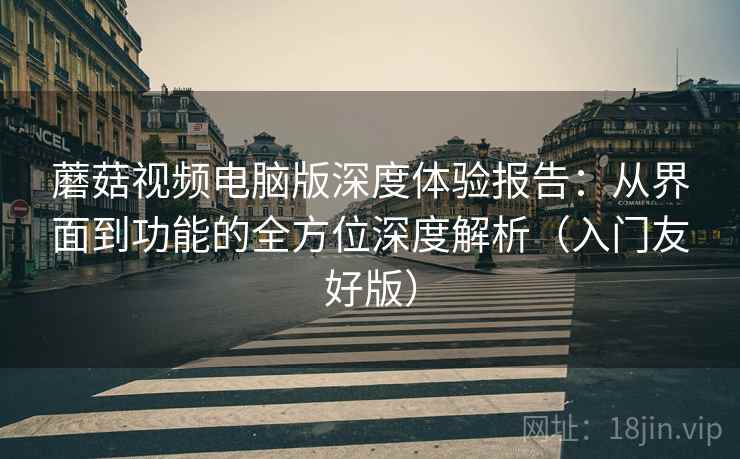 蘑菇视频电脑版深度体验报告：从界面到功能的全方位深度解析（入门友好版）