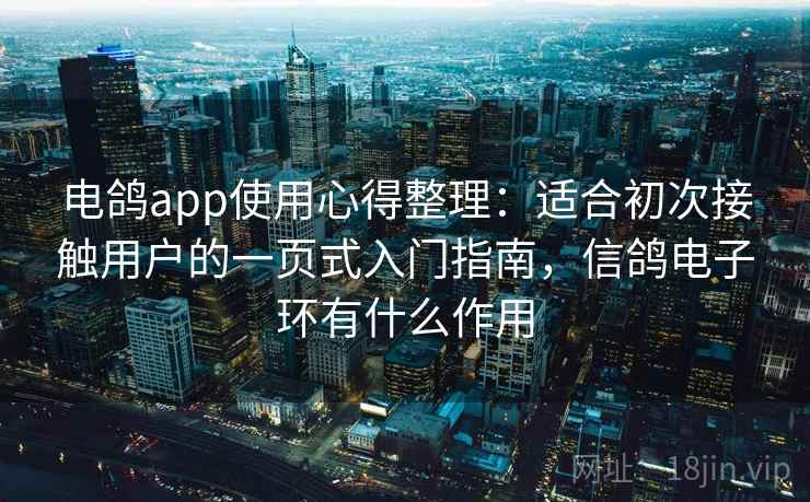电鸽app使用心得整理：适合初次接触用户的一页式入门指南，信鸽电子环有什么作用