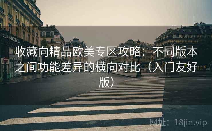 收藏向精品欧美专区攻略:不同版本之间功能差异的横向对比(入门友好版) 收藏向精品欧美专区攻略:不同版本之间功能差异的横向对比(入门友好版)