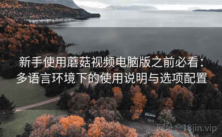 新手使用蘑菇视频电脑版之前必看：多语言环境下的使用说明与选项配置