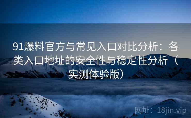 91爆料官方与常见入口对比分析：各类入口地址的安全性与稳定性分析（实测体验版）