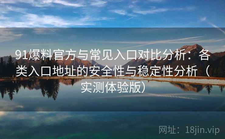 91爆料官方与常见入口对比分析：各类入口地址的安全性与稳定性分析（实测体验版）