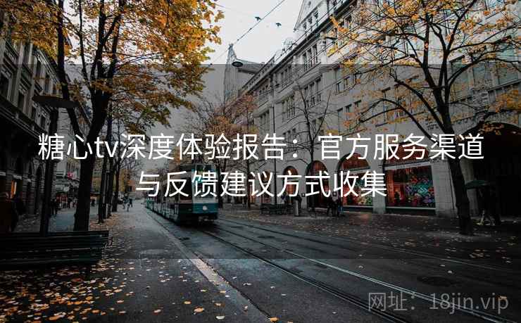 糖心tv深度体验报告：官方服务渠道与反馈建议方式收集