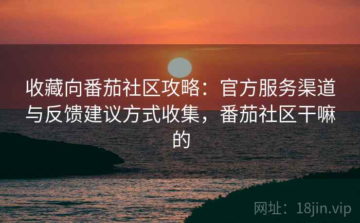 收藏向番茄社区攻略：官方服务渠道与反馈建议方式收集，番茄社区干嘛的