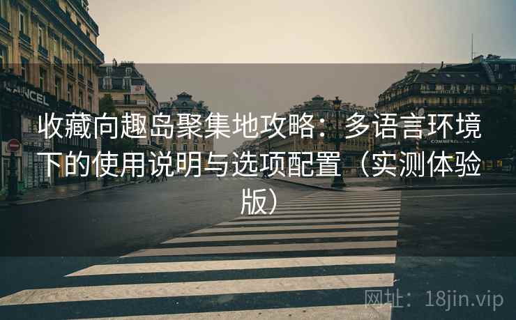 收藏向趣岛聚集地攻略：多语言环境下的使用说明与选项配置（实测体验版）
