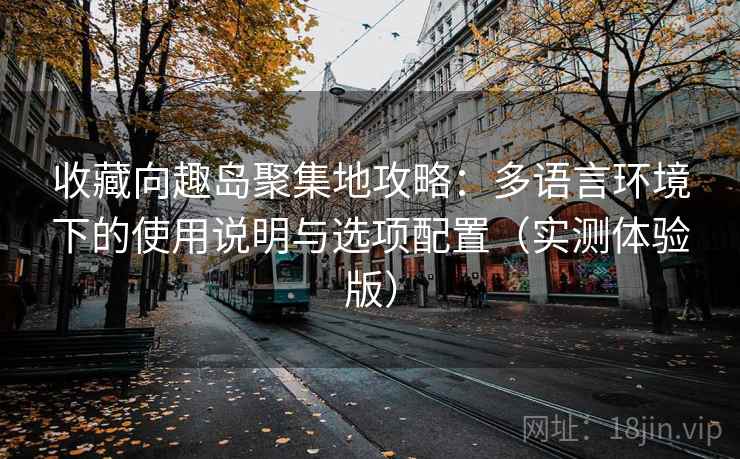 收藏向趣岛聚集地攻略：多语言环境下的使用说明与选项配置（实测体验版）