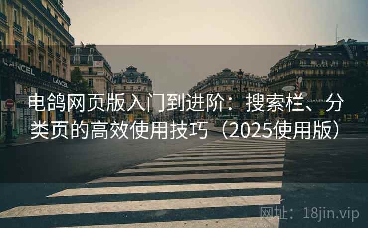 电鸽网页版入门到进阶：搜索栏、分类页的高效使用技巧（2025使用版）