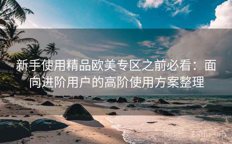 新手使用精品欧美专区之前必看：面向进阶用户的高阶使用方案整理