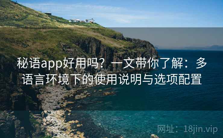 秘语app好用吗？一文带你了解：多语言环境下的使用说明与选项配置