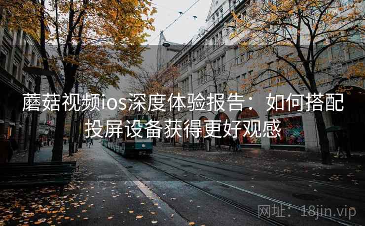 蘑菇视频ios深度体验报告：如何搭配投屏设备获得更好观感