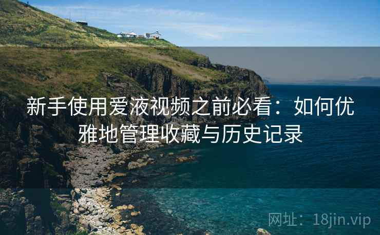 新手使用爱液视频之前必看：如何优雅地管理收藏与历史记录
