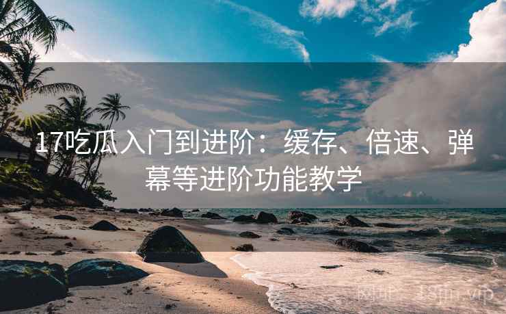 17吃瓜入门到进阶：缓存、倍速、弹幕等进阶功能教学