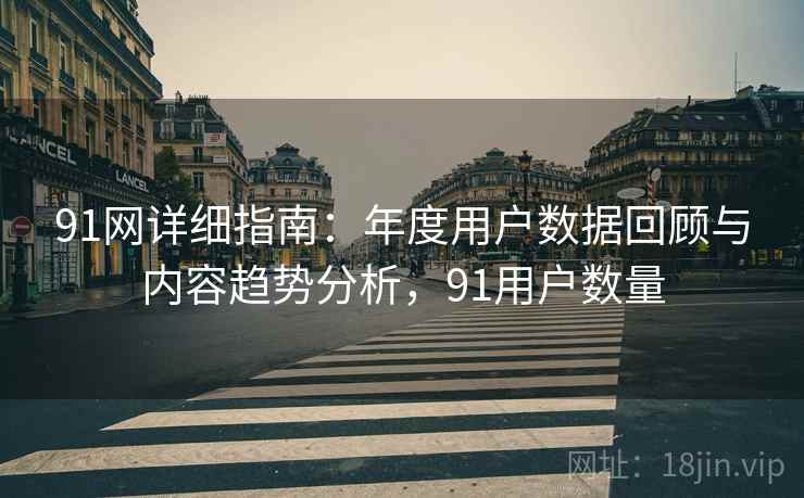 91网详细指南：年度用户数据回顾与内容趋势分析，91用户数量