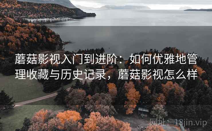 蘑菇影视入门到进阶:如何优雅地管理收藏与历史记录,蘑菇影视怎么样