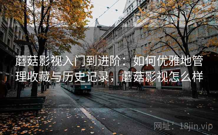 蘑菇影视入门到进阶:如何优雅地管理收藏与历史记录,蘑菇影视怎么样 蘑菇影视入门到进阶:如何优雅地管理收藏与历史记录,蘑菇影视怎么样