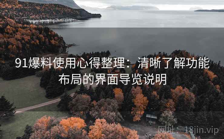 91爆料使用心得整理：清晰了解功能布局的界面导览说明