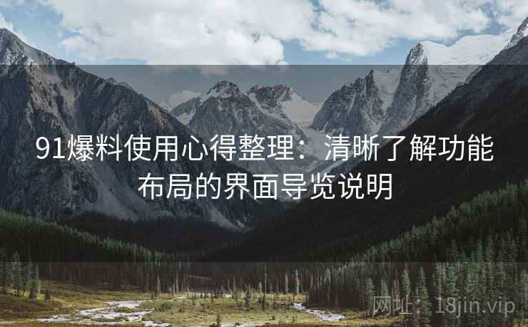 91爆料使用心得整理：清晰了解功能布局的界面导览说明