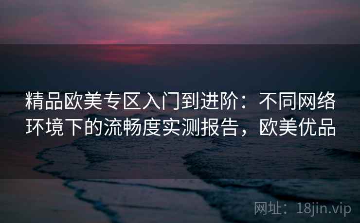 精品欧美专区入门到进阶:不同网络环境下的流畅度实测报告,欧美优品