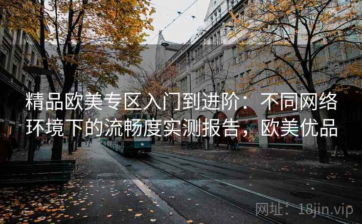精品欧美专区入门到进阶:不同网络环境下的流畅度实测报告,欧美优品 精品欧美专区入门到进阶:不同网络环境下的流畅度实测报告,欧美优品