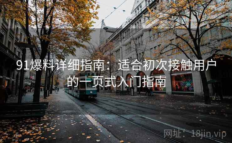 91爆料详细指南:适合初次接触用户的一页式入门指南 91爆料详细指南:适合初次接触用户的一页式入门指南